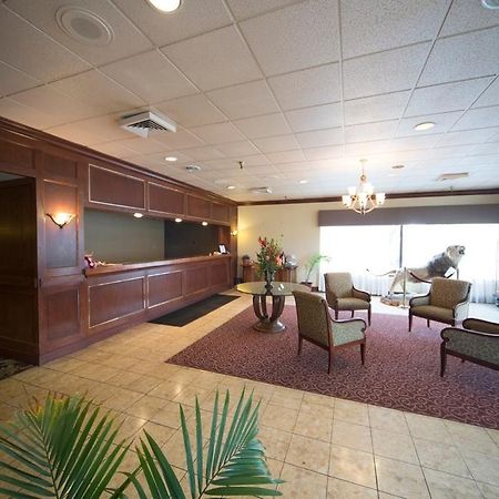 Boarders Inn And Suites - Marion Bagian luar foto